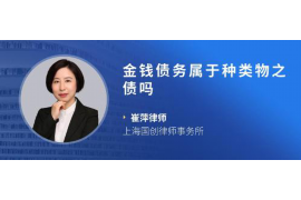 定安为什么选择专业追讨公司来处理您的债务纠纷？